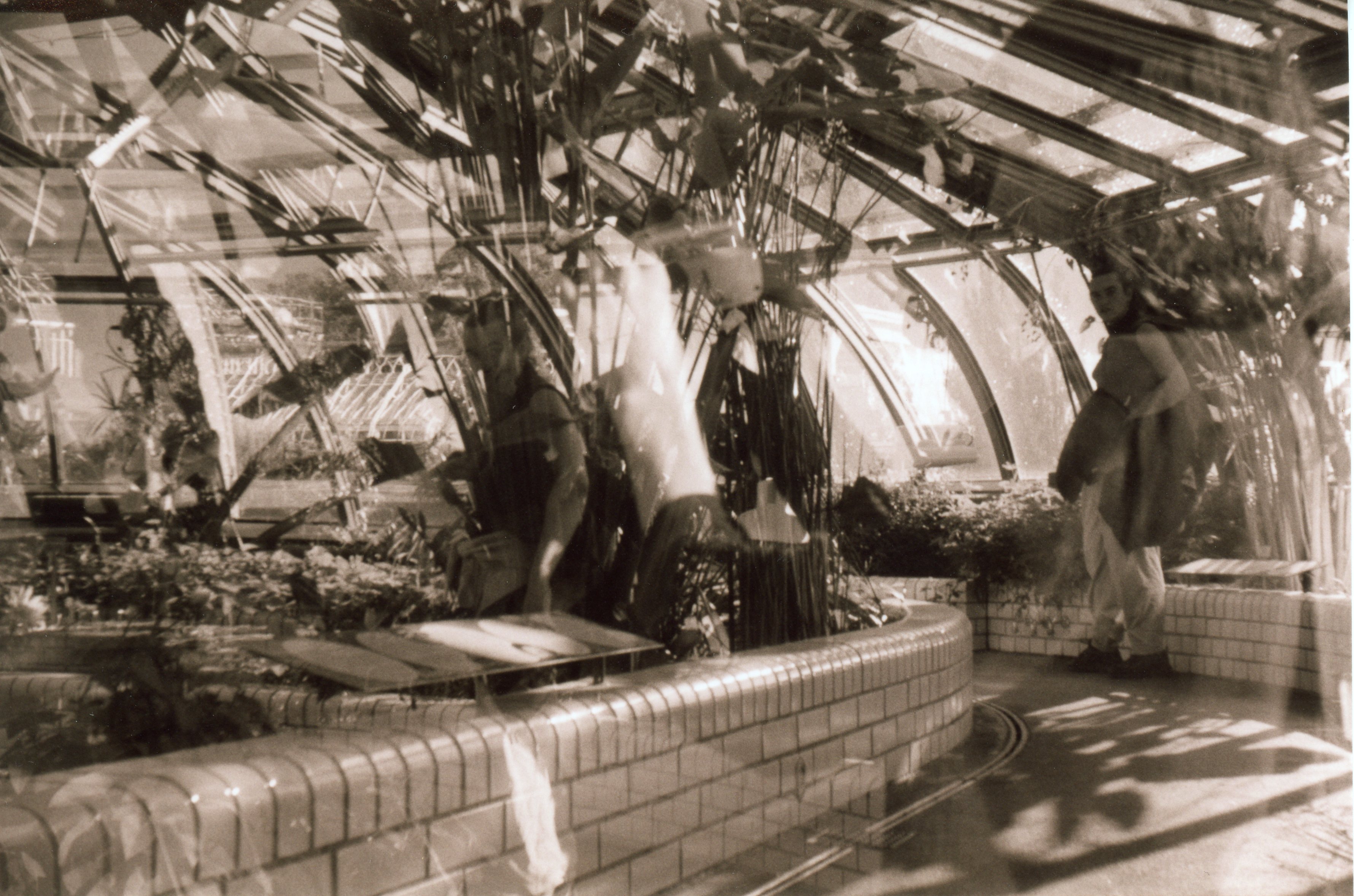a black and white, sepia toned, 35mm print; the image is a hectic double exposure inside a botanical garden greenhouse; the lattice roof curves domelike to the ground on the right; on the left the floor curves between short, subway-tiled walls that contain botanical exhibits; tall reeds grow from behind the wall in the center of the image; on the right side a woman holding a coat stands facing the left side, looking at the camera