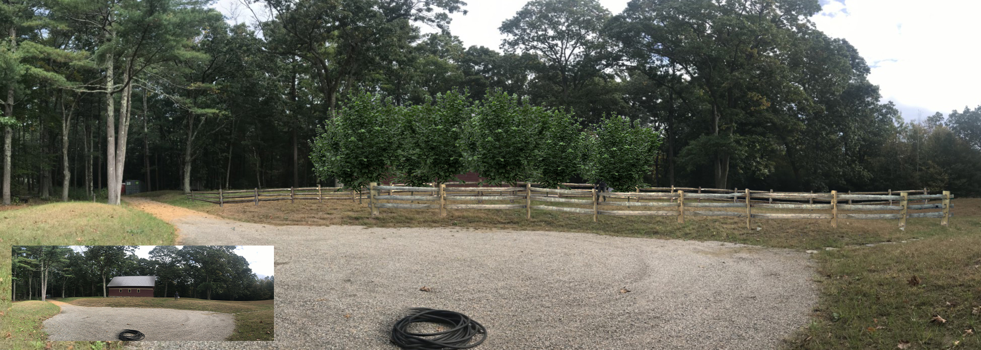 Hazelnut trees and fence added to existing field