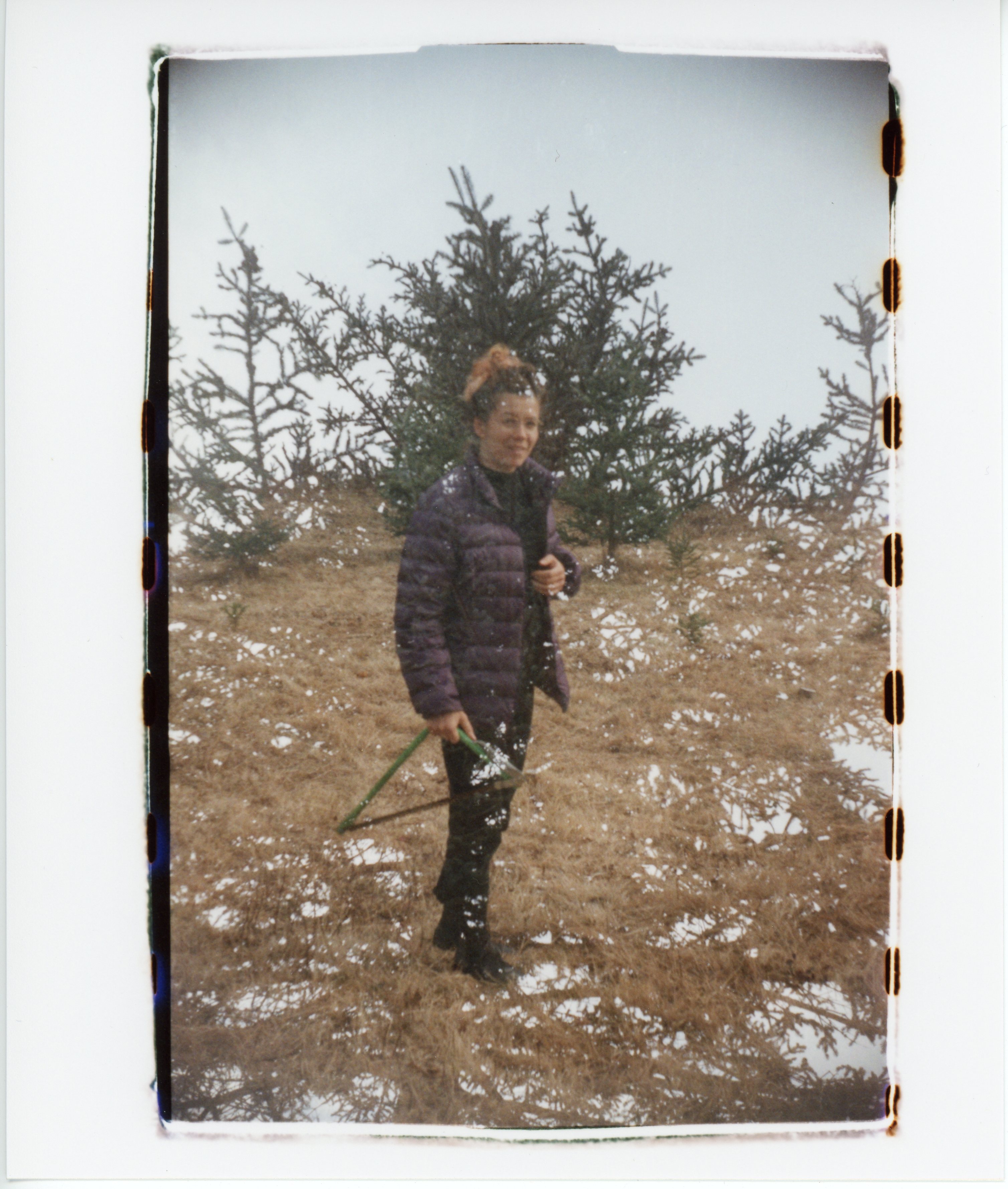 a 35mm color print with messy edges that show bits of the sprocket holes; the image is a double exposure of a person standing in the center of the frame overlaid the top of a spruce tree; the overcast sky behind the tree is fully exposed, so only the overlap with the tree branches is visible from the shot with the person; they are wearing a purple quilted parka and are holding a bow saw; their hair is brown with bleached tips and is in a bun; they are standing and looking at a 45º angle away from the camera towards the right side of the image; the ground they are standing on is dead grass and there is a base of a spruce tree somewhat behind them
