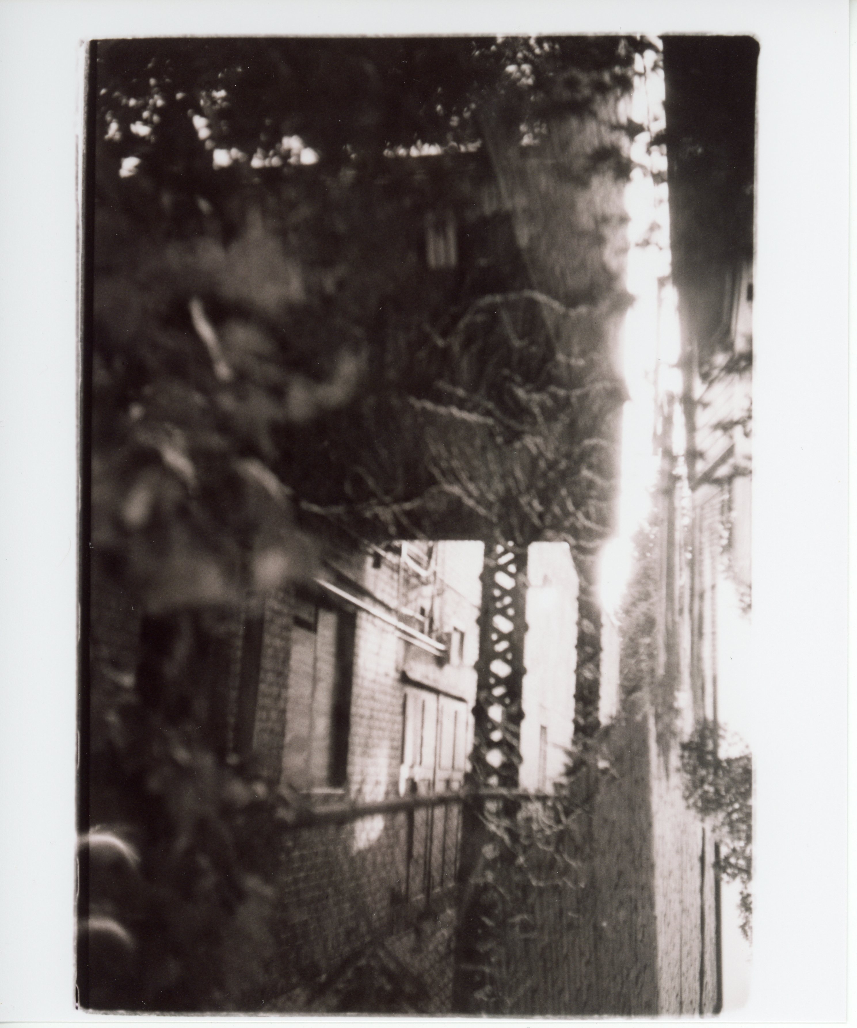 a black and white, sepia toned, 35mm print with messy edges;  the image is a double exposure: one image shows out of focus vines growing on a wall, and the other image looks down an alleyway into the sunset, underneath an exterior stairwell