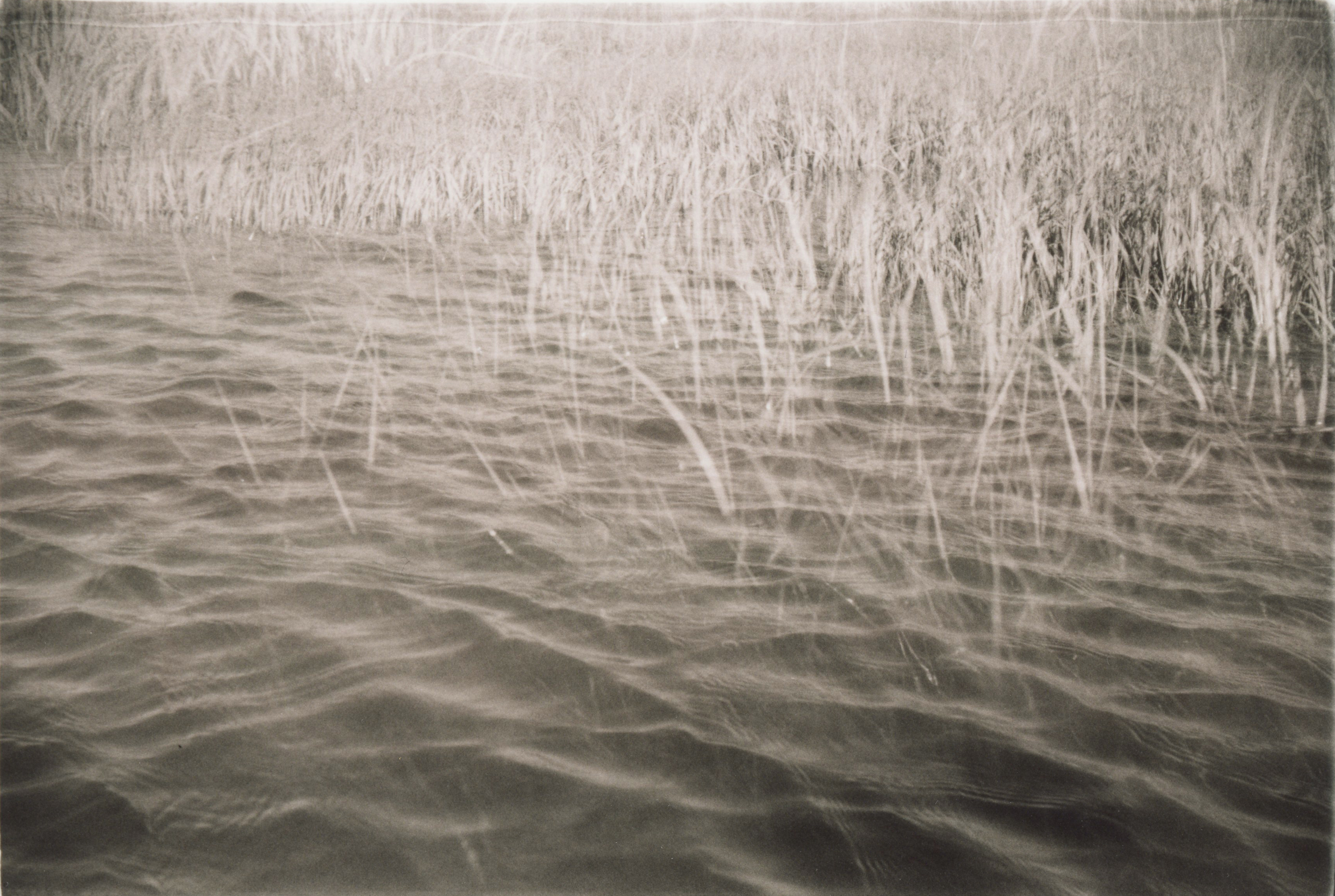 a black and white, sepia toned, 35mm print; slightly wavy water at high tide in the foreground fades into overexposed marsh grass in the background