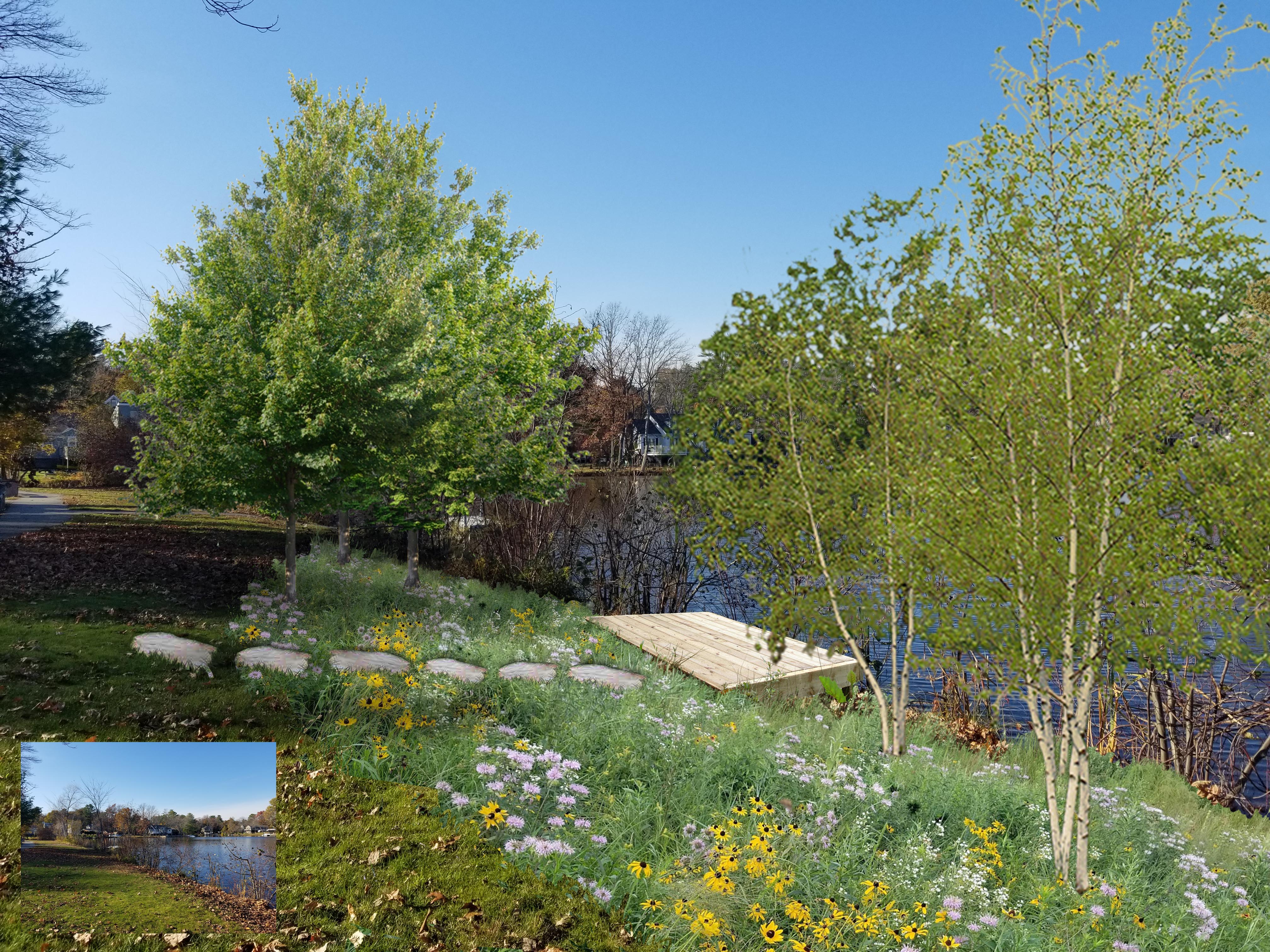 Maples, birches, wildflowers, and fishing platform added to pond edge